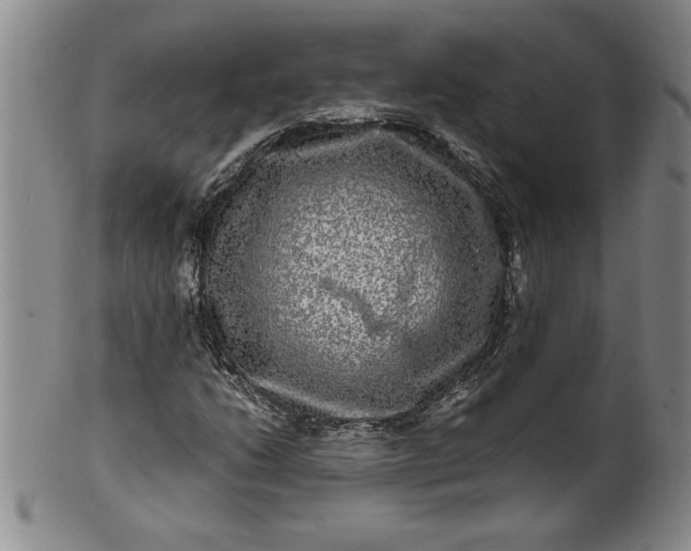 X0000100971206200807081211