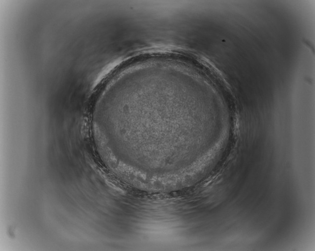 X0000100971208200807081211