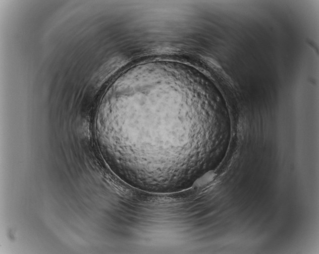 X0000100971209200807081211