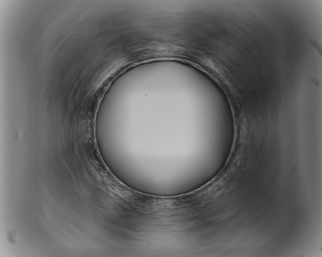 X0000100971211200807081211