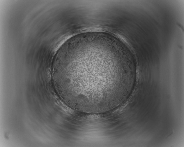 X0000100971212200807081211