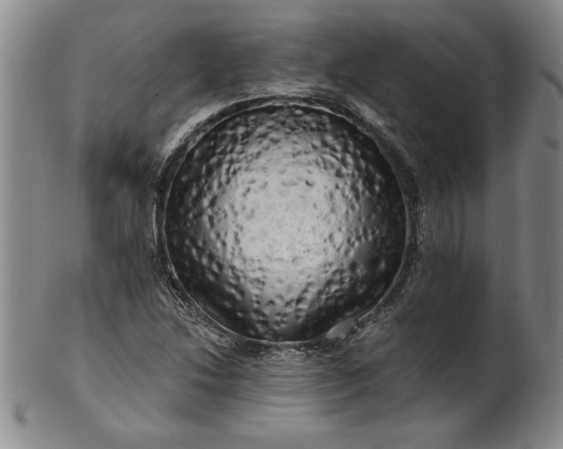 X0000100971214200807081211