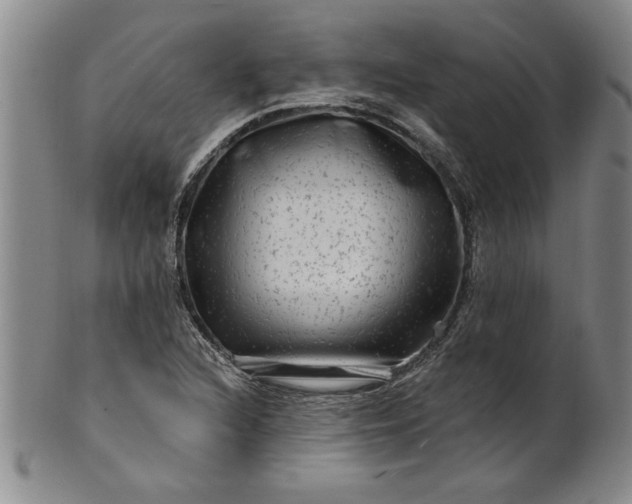 X0000100971216200807081211