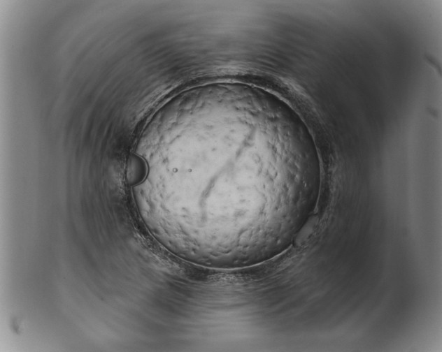 X0000100971217200807081211