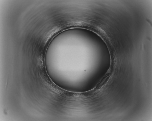 X0000100971218200807081211
