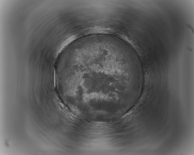 X0000100971219200807081211