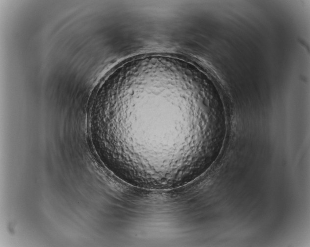 X0000100971220200807081211