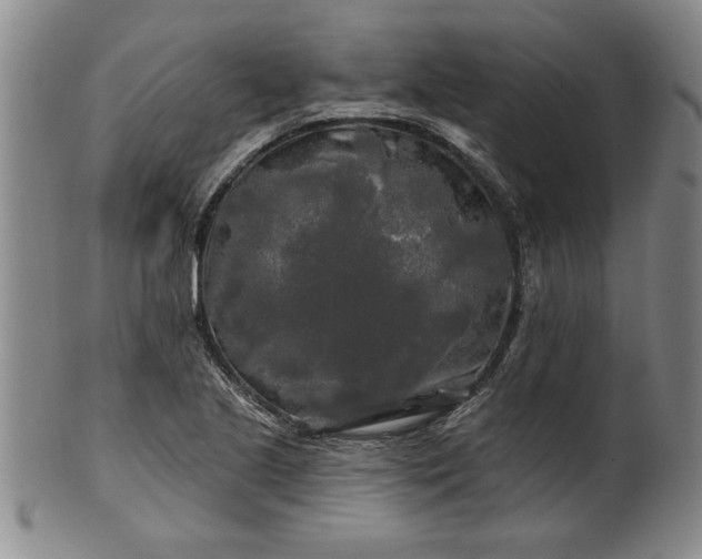 X0000100971221200807081211