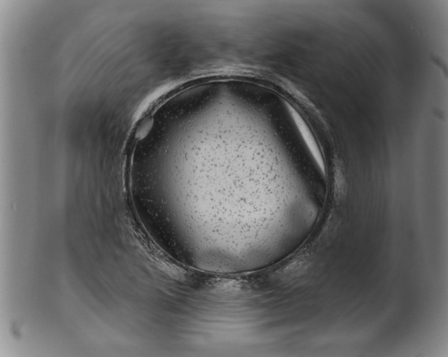 X0000100971222200807081211