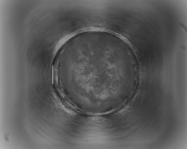 X0000100971223200807081211