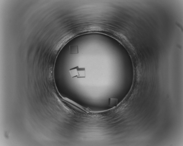 X0000100971225200807081211