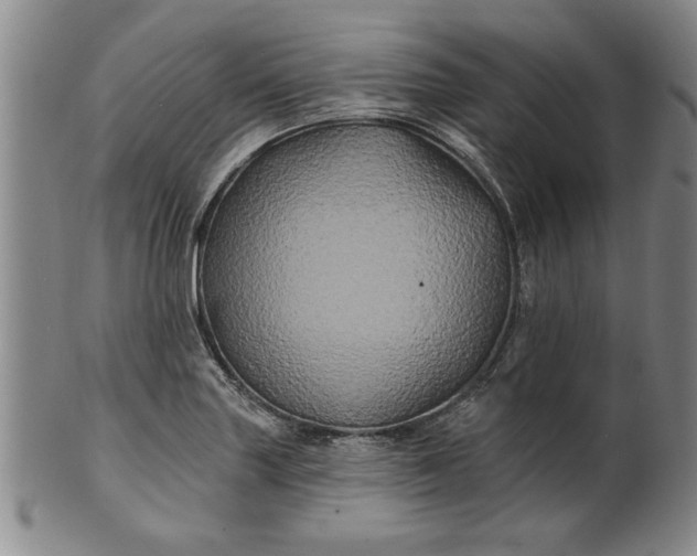 X0000100971227200807081211