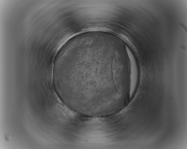 X0000100971228200807081211