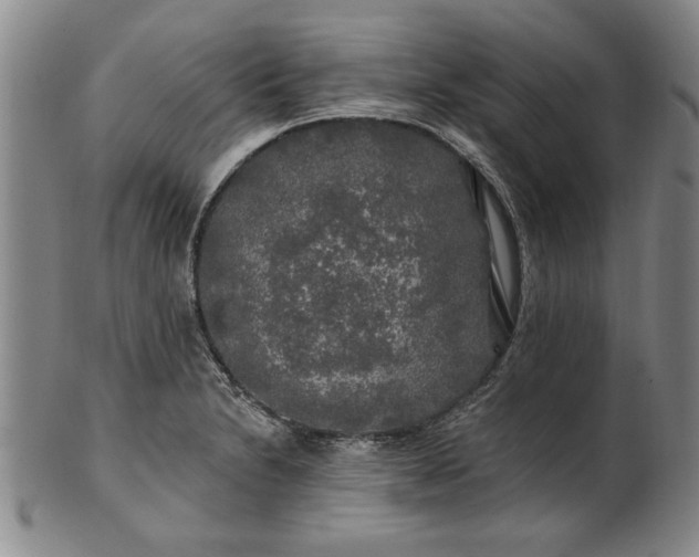 X0000100971230200807081211