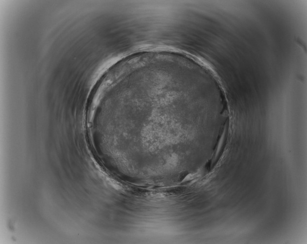X0000100971231200807081211