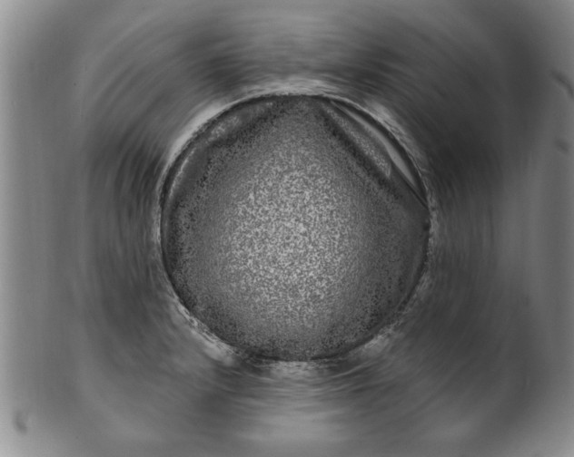 X0000100971232200807081211