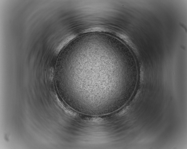 X0000100971233200807081211