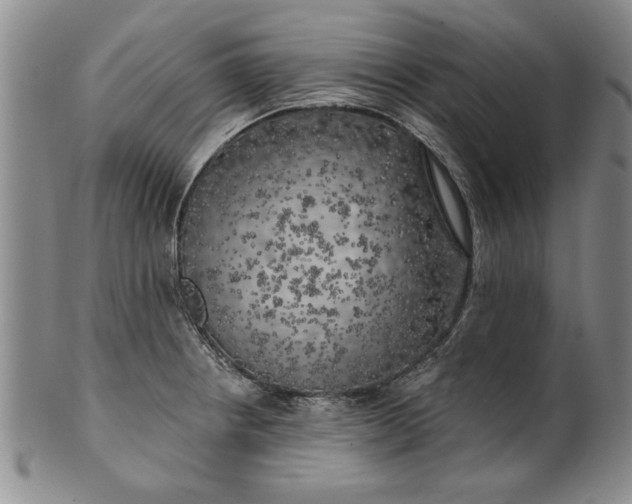 X0000100971234200807081211