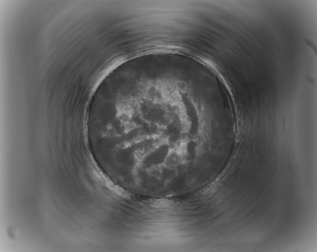 X0000100971235200807081211