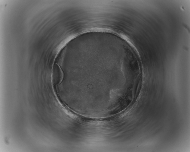 X0000100971237200807081211