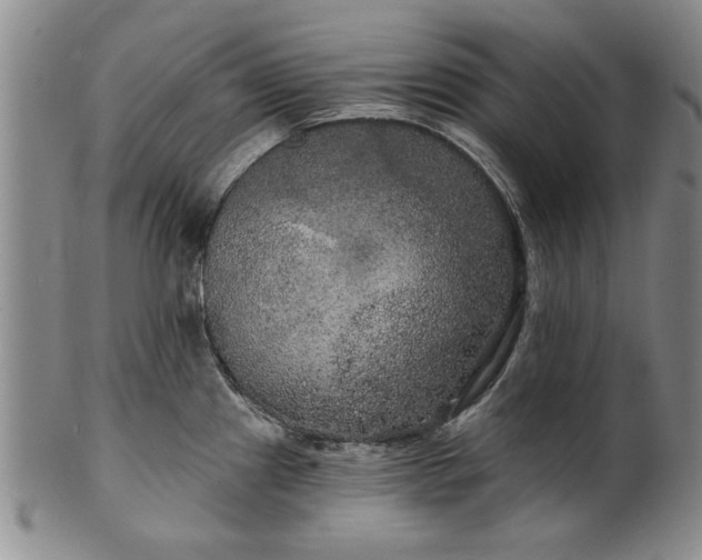 X0000100971241200807081211