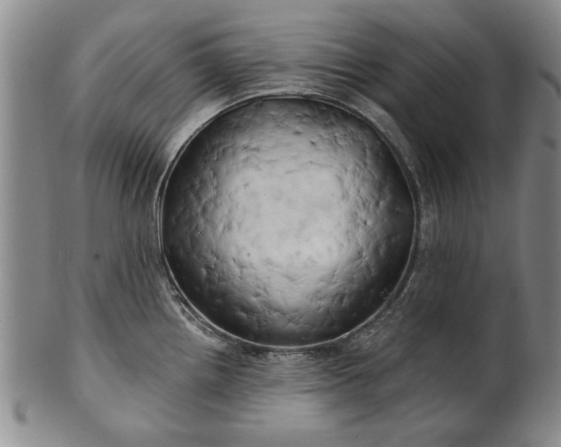 X0000100971242200807081211