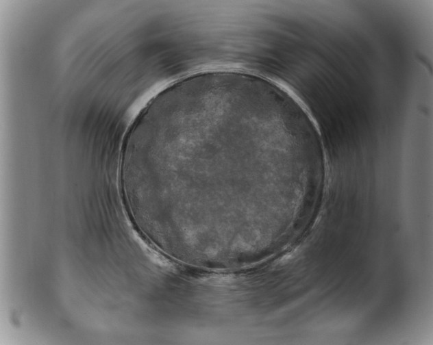 X0000100971245200807081211
