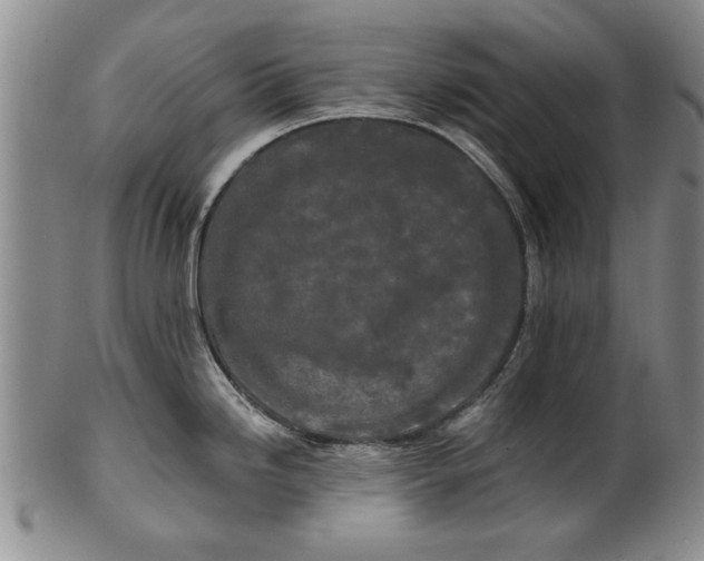 X0000100971246200807081211