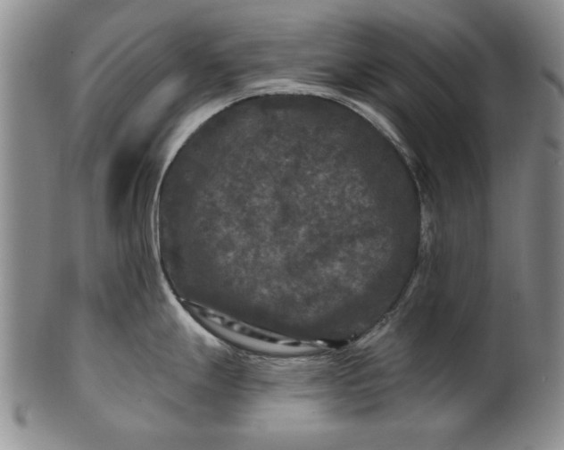 X0000100971247200807081211