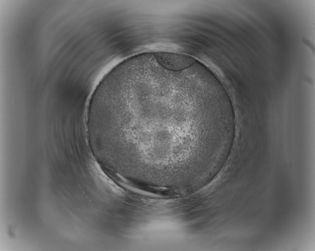 X0000100971248200807081211