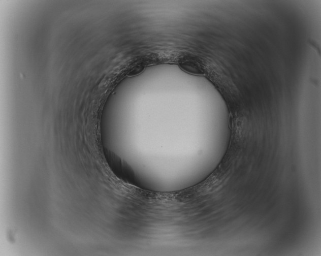 X0000100971249200807081211