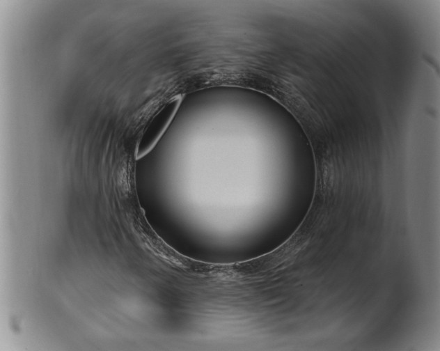 X0000100971250200807081211