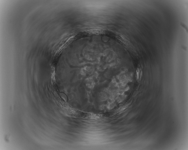 X0000100971251200807081211