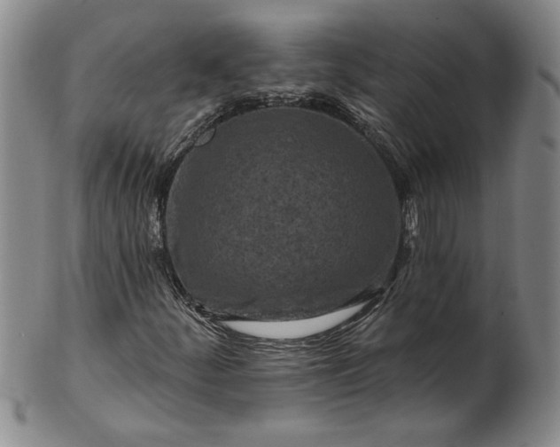 X0000100971252200807081211