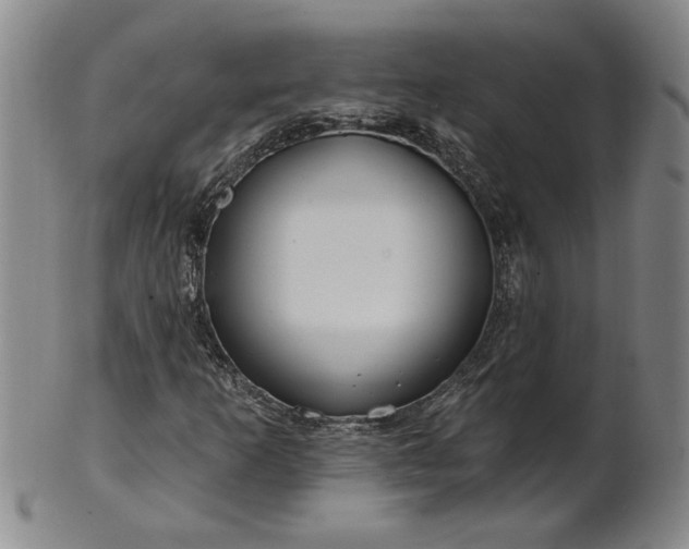 X0000100971253200807081211