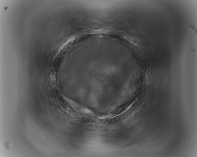 X0000100971254200807081211