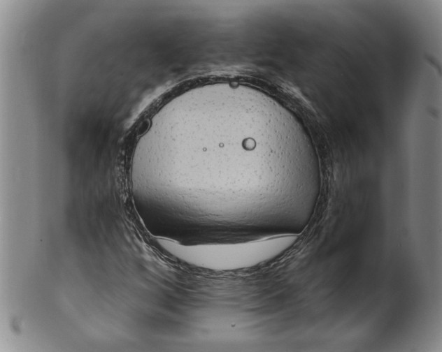 X0000100971256200807081211