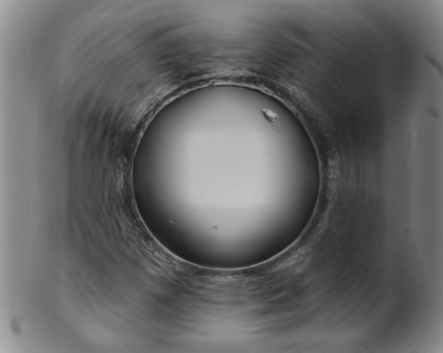 X0000100971257200807081210