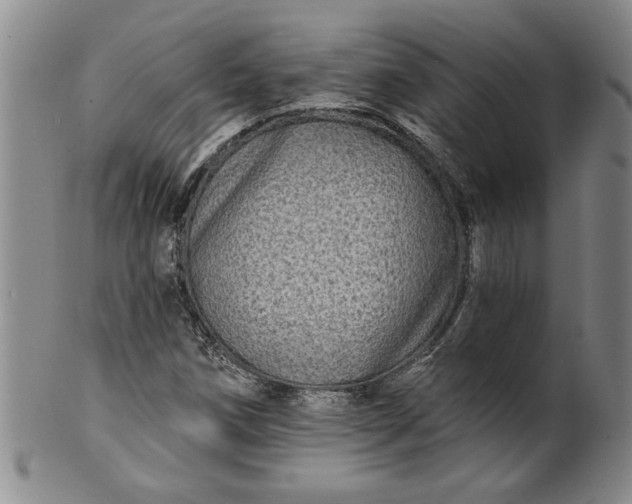 X0000100971258200807081210