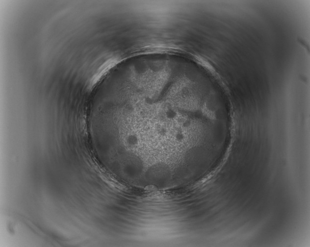 X0000100971259200807081210