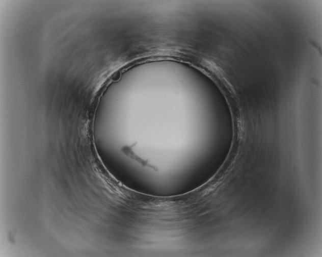 X0000100971260200807081210