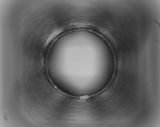 X0000100971261200807081210
