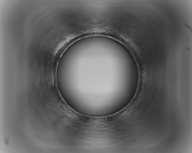 X0000100971262200807081210