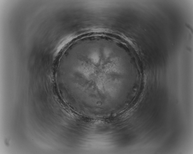 X0000100971263200807081210