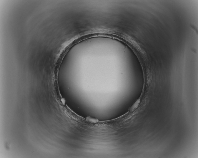 X0000100971264200807081210