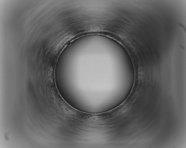 X0000100971265200807081210