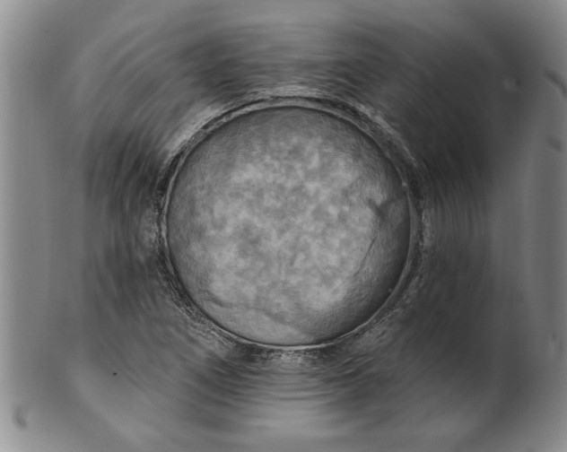 X0000100971266200807081210
