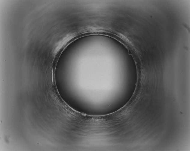 X0000100971269200807081210