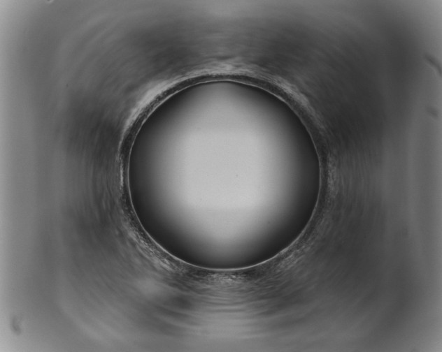 X0000100971270200807081210