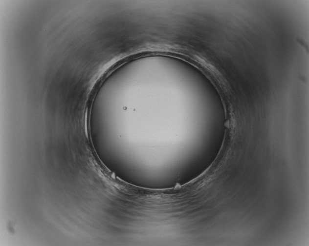 X0000100971272200807081210